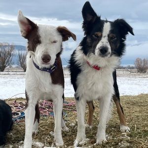 Meet your Posher, Kimberlee